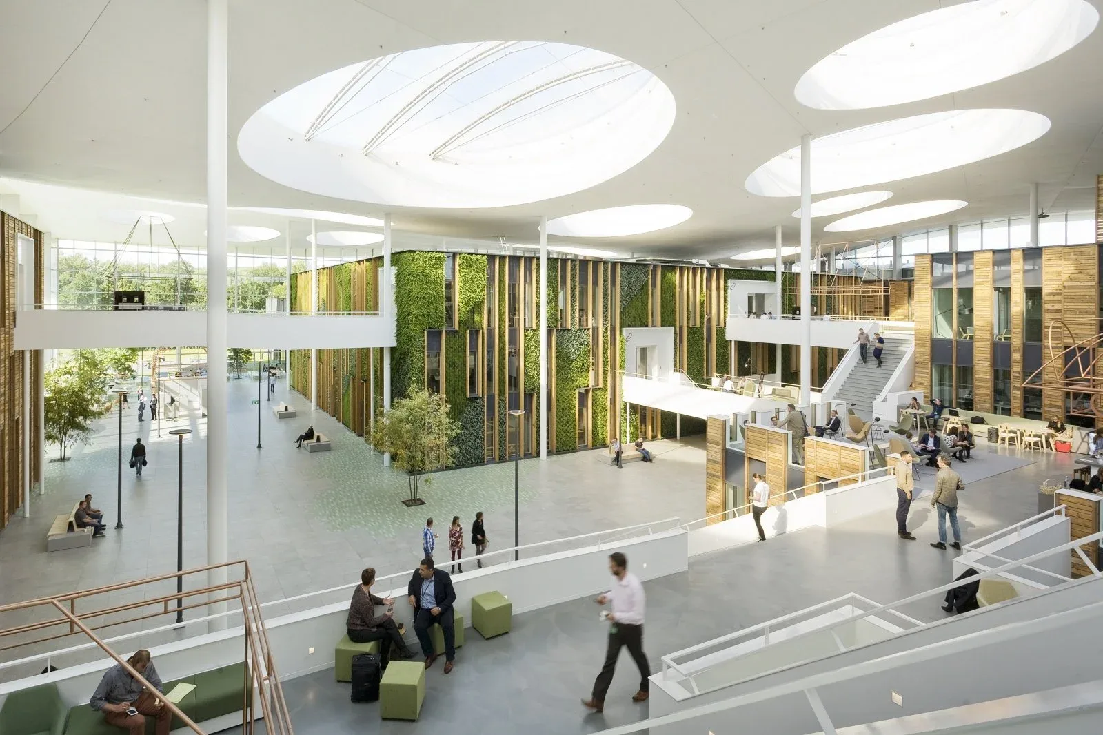 Green office design trends: concept and benefits