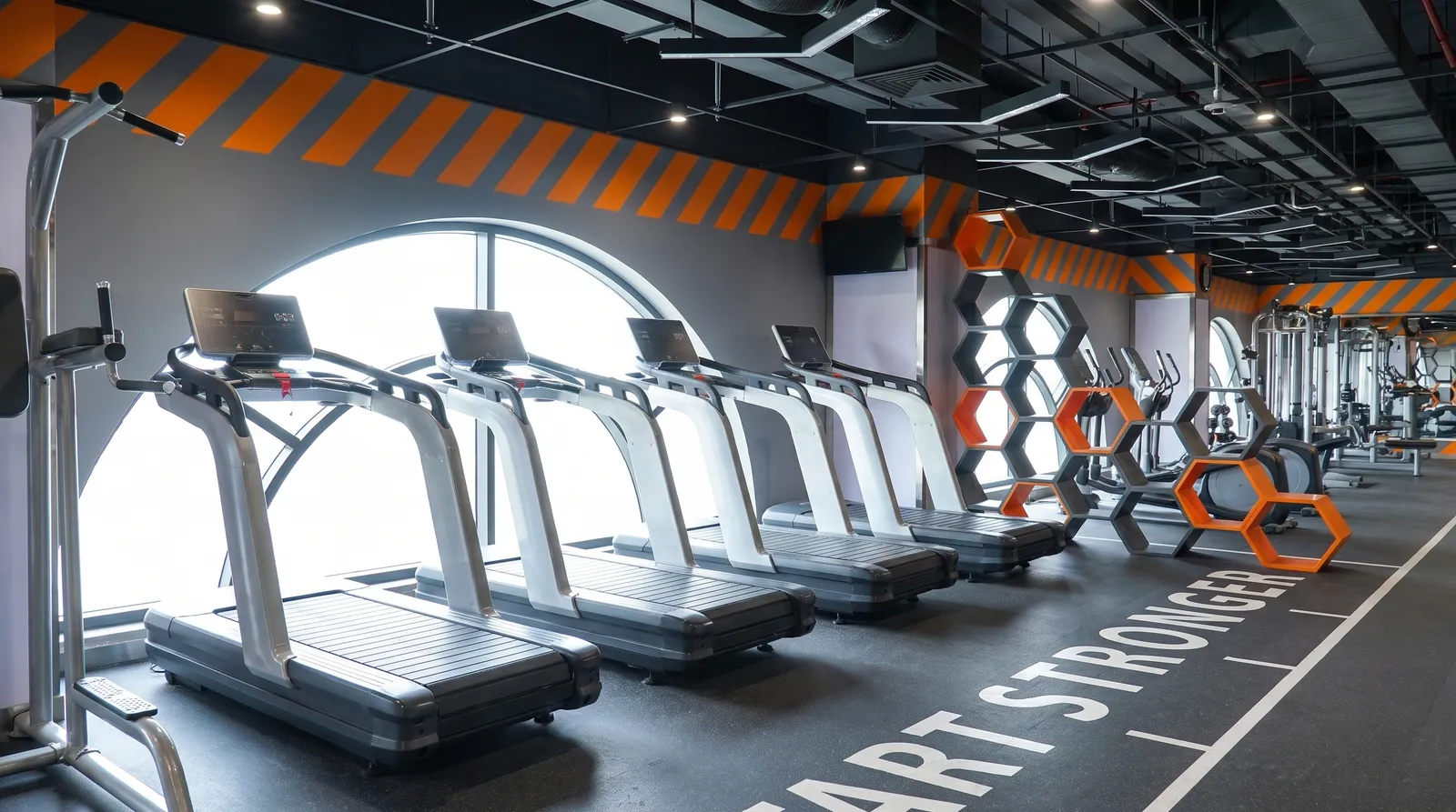 GetFit gym design & build — Oriental branch — photo 2