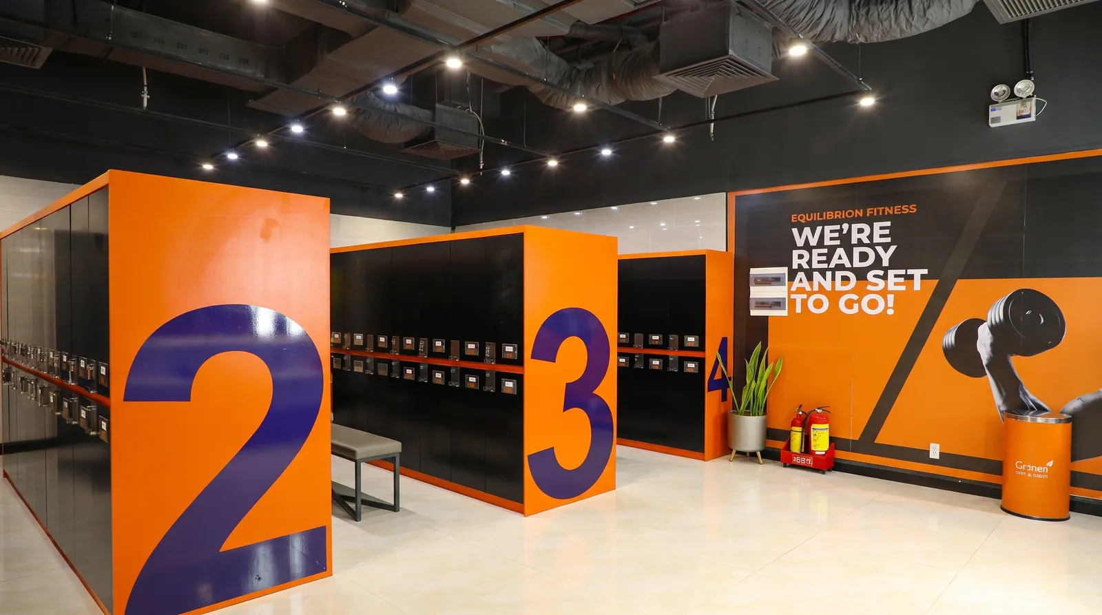 GetFit gym design & build — Oriental branch — photo 8