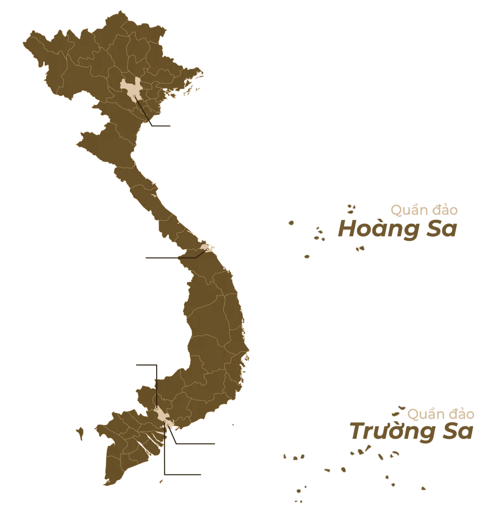 Map of AIC's network in Vietnam — Hanoi, Da Nang, Ho Chi Minh City