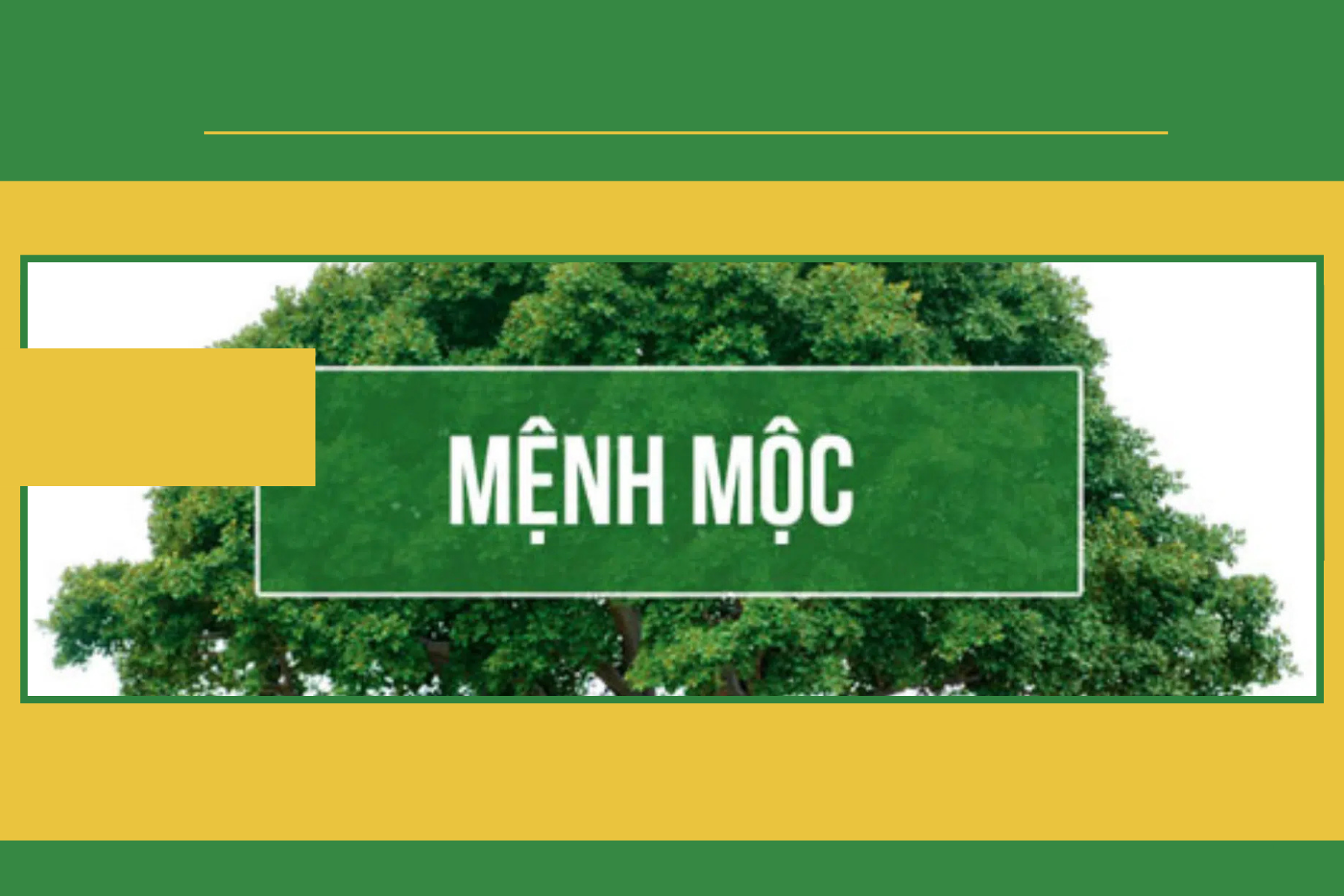 Cây phong thủy cho người mệnh Mộc Cây phong thủy cho người mệnh Mộc